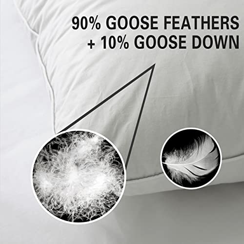 Queen Size 2 Pack Down Feather Pillow with 100% Cotton Cover L138007