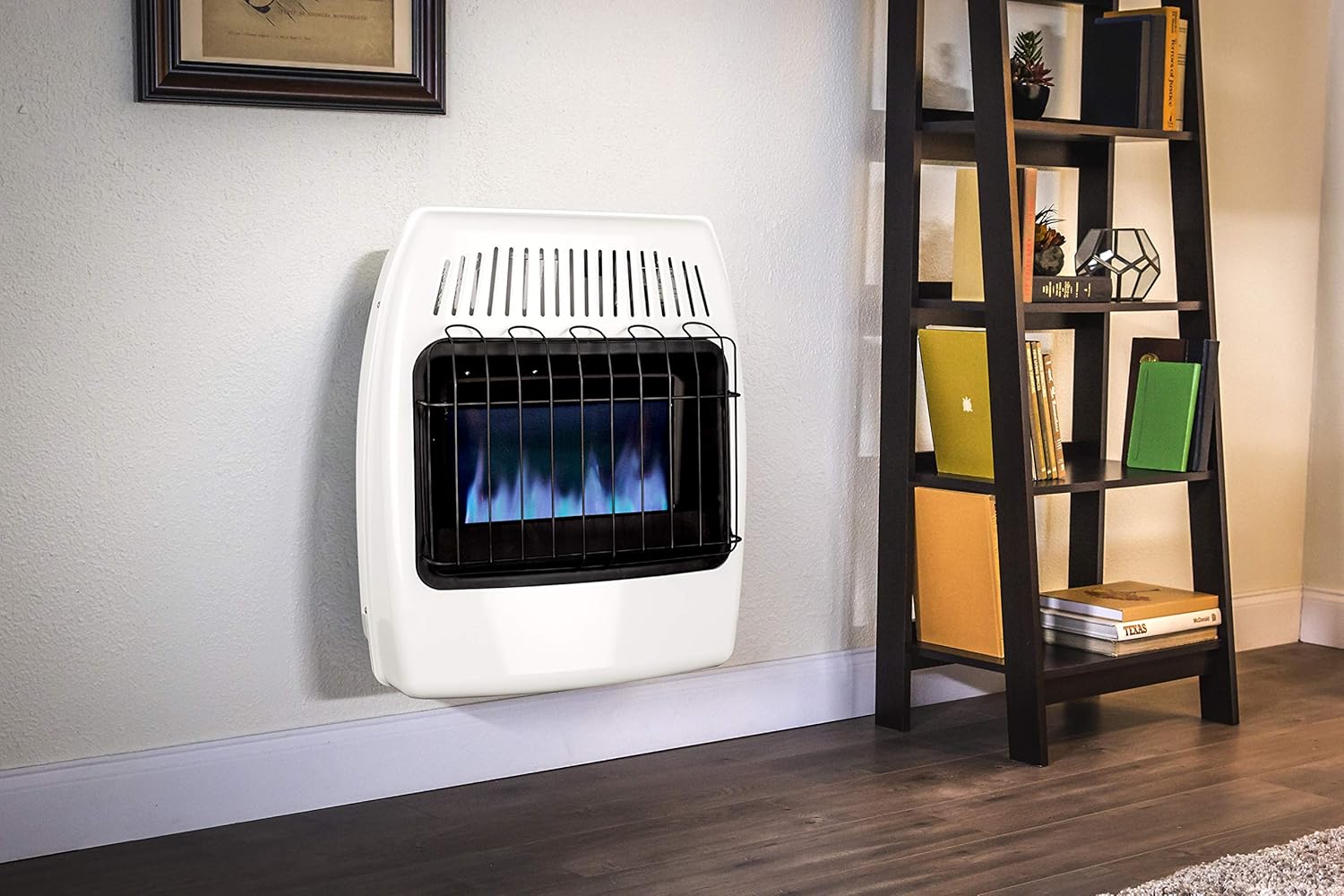 White 20,000 BTU Natural Gas Wall Heater R444