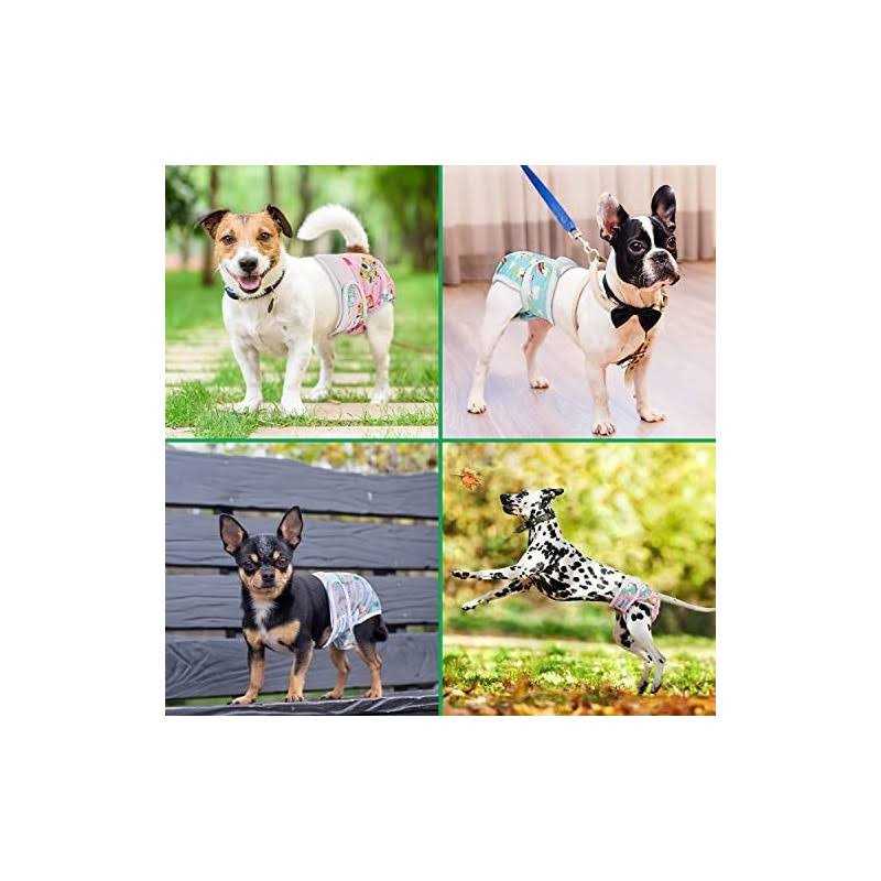 Reusable Female Dog Diapers V45531