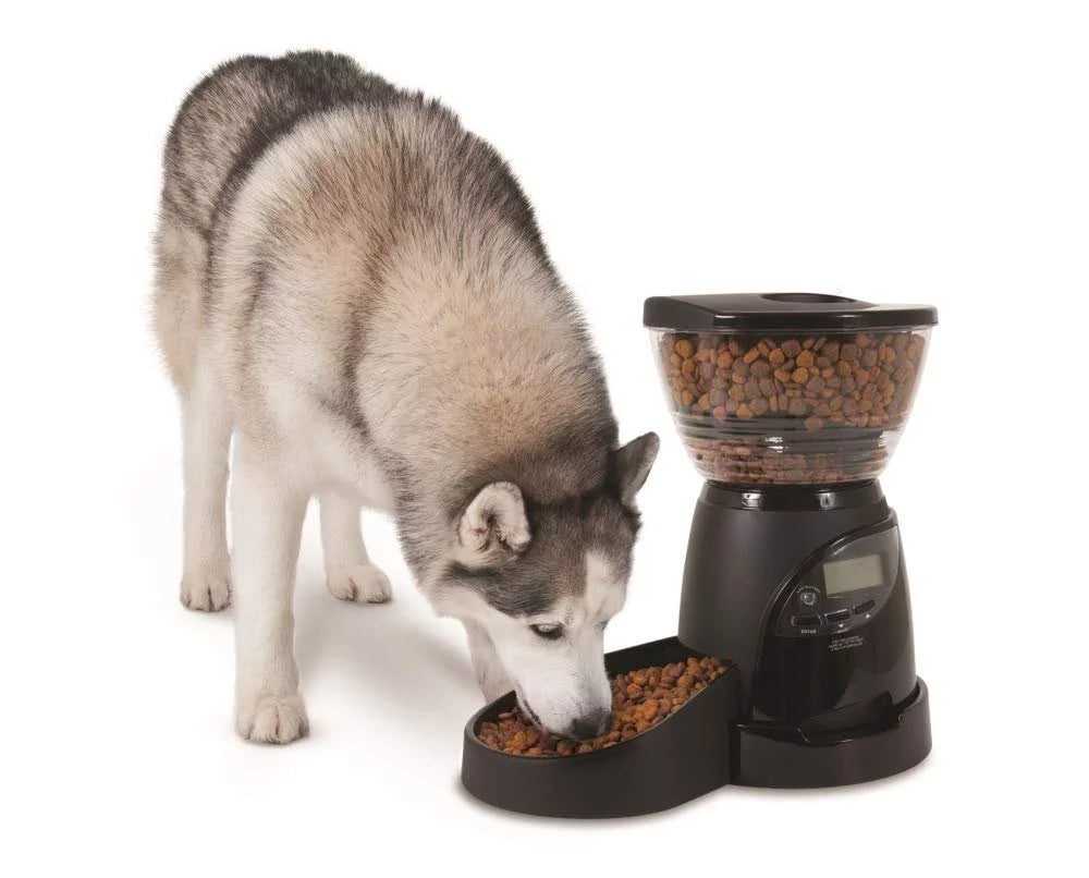 Programmable Dog and Cat Food Dispenser, 18 Cup Y524503