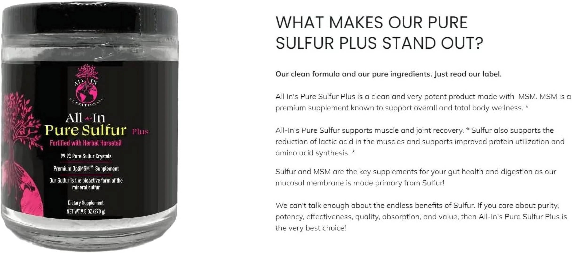 Pure Sulfur-60 Servings H30674