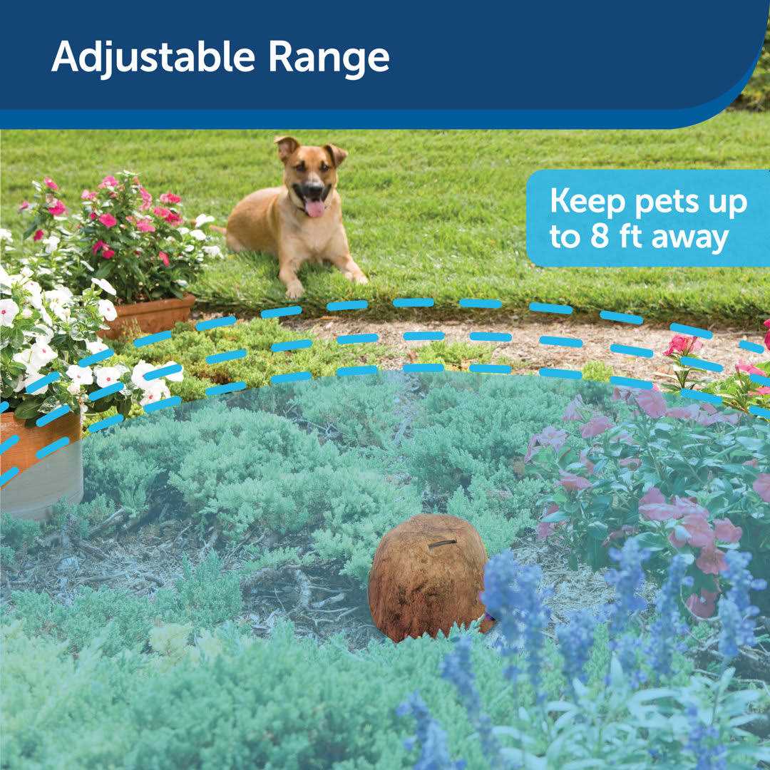 Outdoor Pet Barrier I326