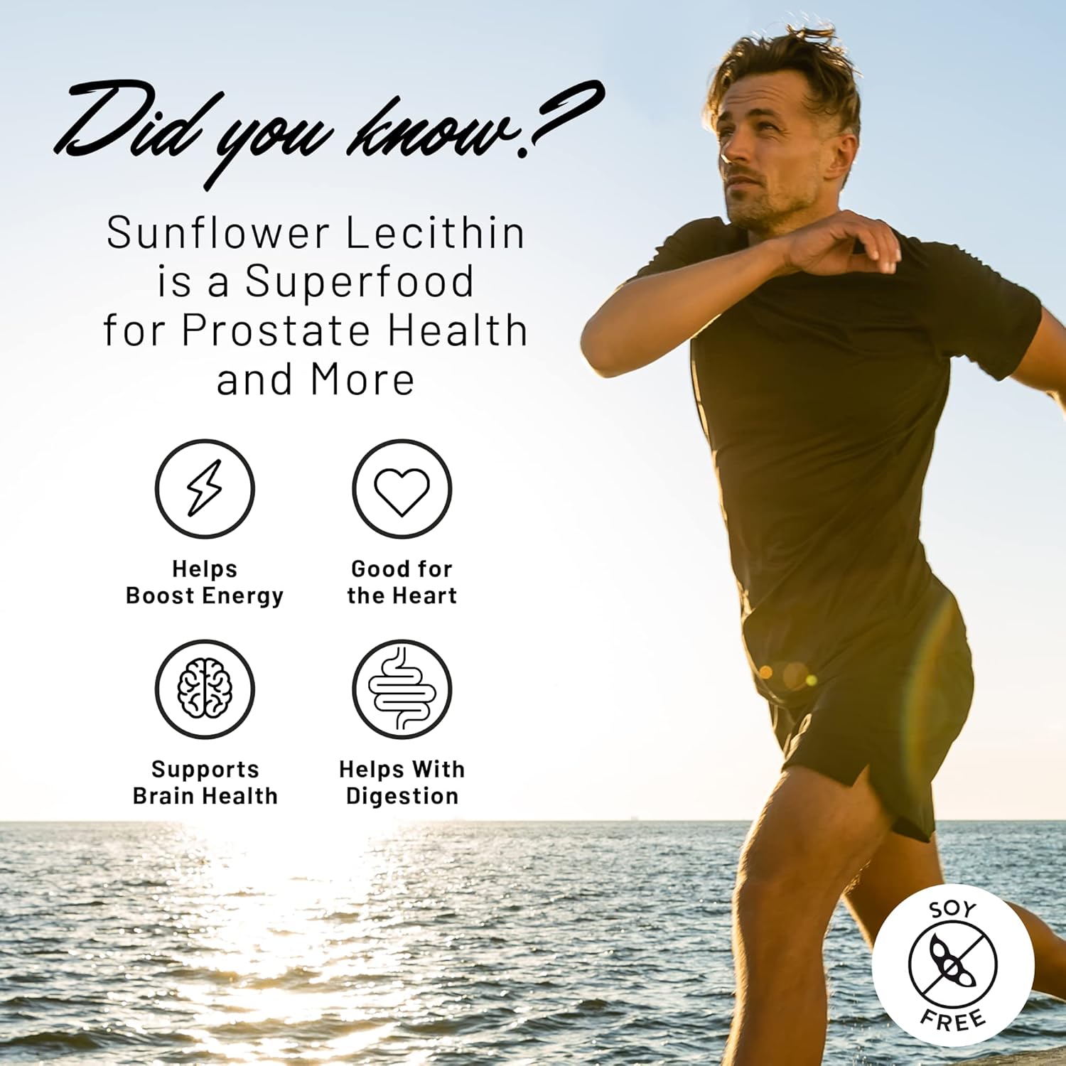Sunflower Lecithin Breastfeeding Supplement S180437