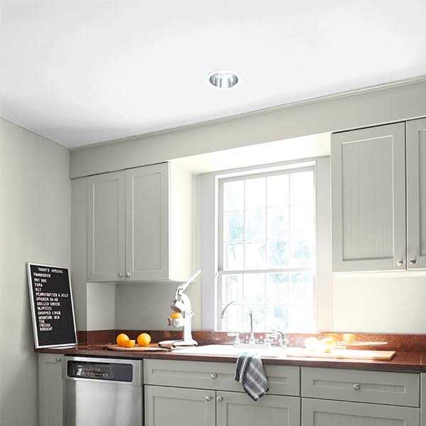 Waterborne Ceiling Paint I9050