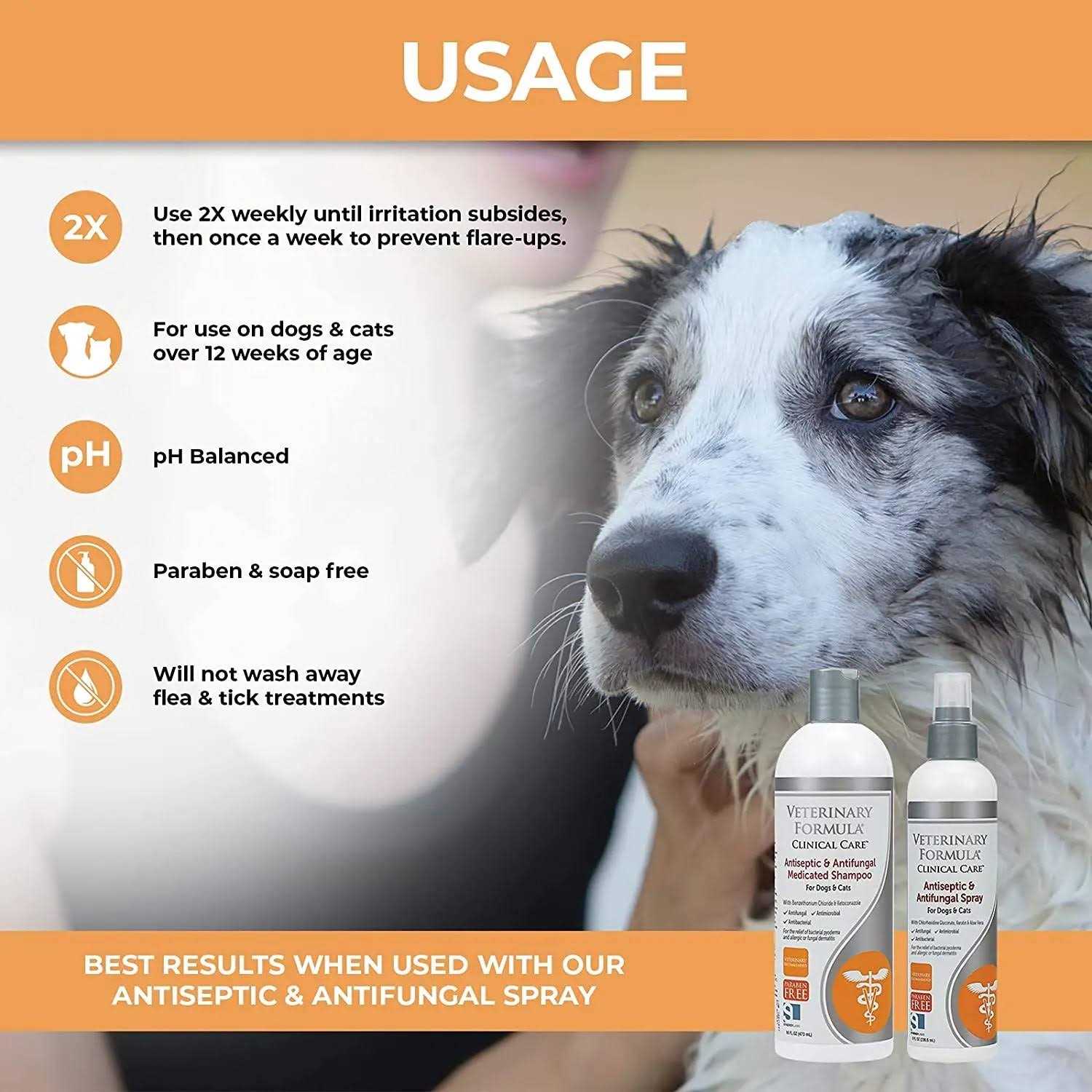Antiseptic & Antifungal Medicated Shampoo H476221