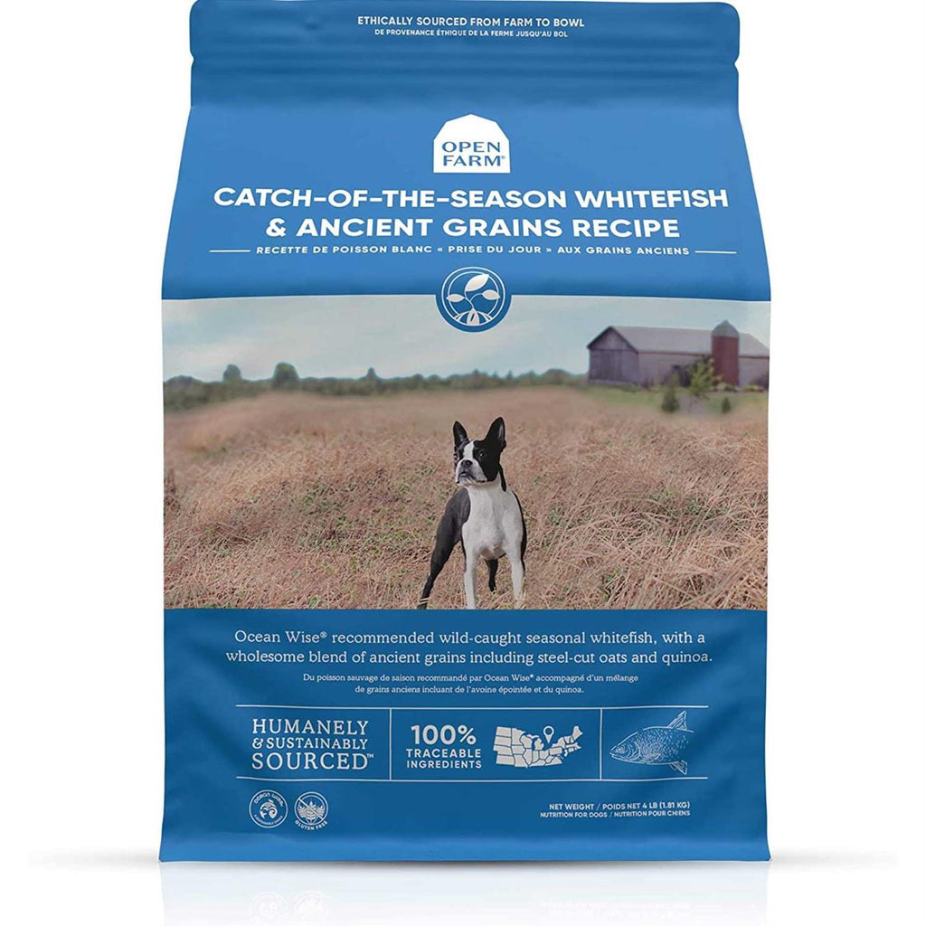 Whitefish & Ancient Grains Dry Dog Food B290296