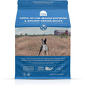 Whitefish & Ancient Grains Dry Dog Food B290296
