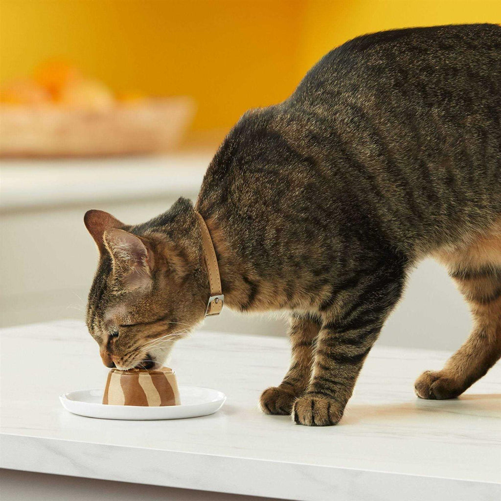 Tasty Layers Cat Food K573112