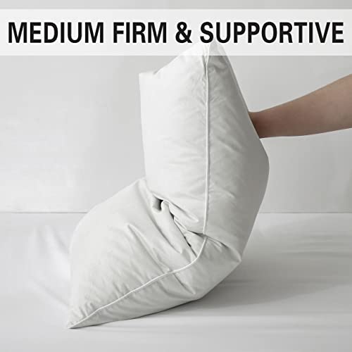 Queen Size 2 Pack Down Feather Pillow with 100% Cotton Cover L138007
