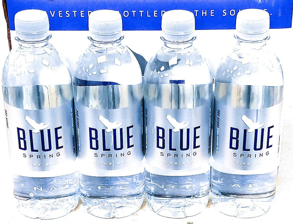 Natural Spring Water 16.9fl oz, 12 Pack A38062