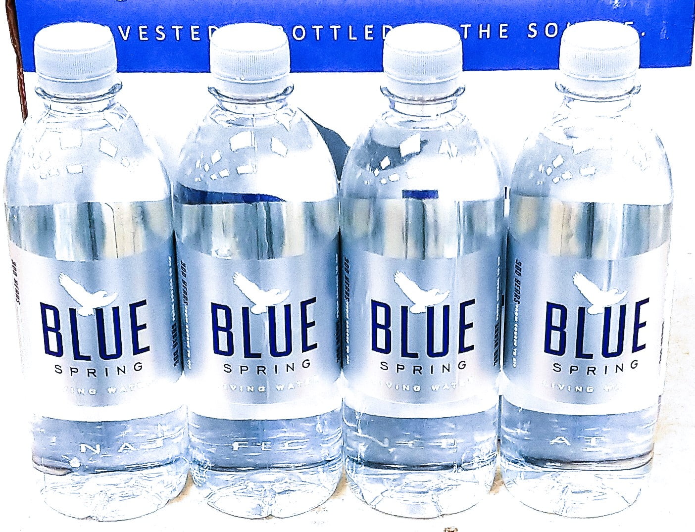 Natural Spring Water 16.9fl oz, 12 Pack A38062