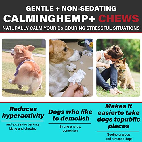 Calming Chews for Dogs with Hemp Oil (Chicken) O565335