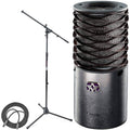 Large Diaphragm Cardioid Condenser Microphone with Boom Mic Stand and Mic Cable Z2537