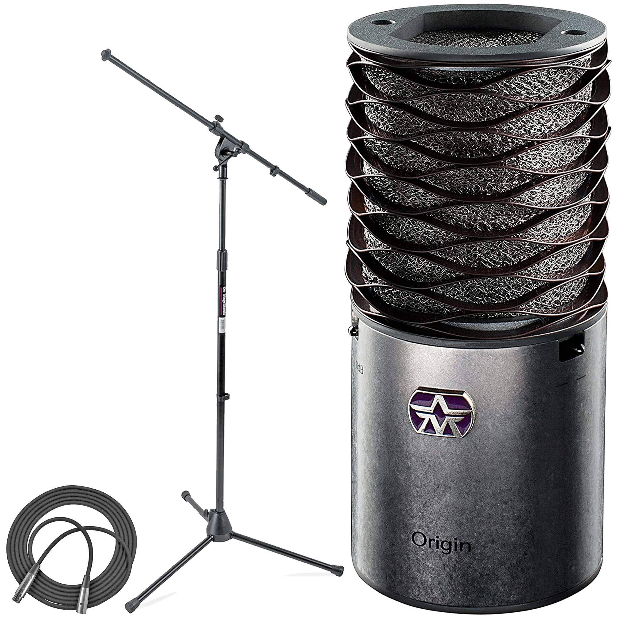 Large Diaphragm Cardioid Condenser Microphone with Boom Mic Stand and Mic Cable Z2537
