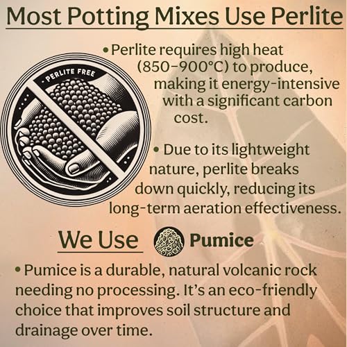 Chunky Well Draining Potting Mix 8QT S23437