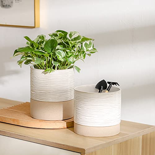 6 Inch Ceramic Self Watering Plant Pot with Drainage Hole Q388219