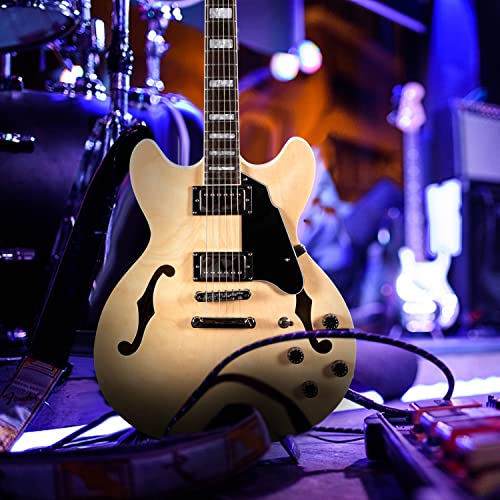Full Scale Semi-Hollow Body Electric Guitar Stainless Steel Frets Red F219