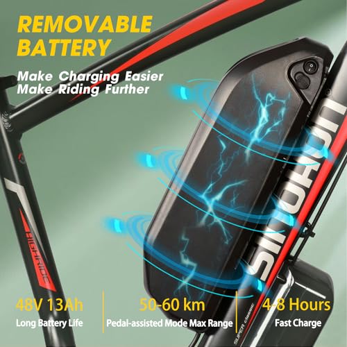 26'' Fat Tire Electric Bicycle with 750W Motor and 48V 13Ah Lithium Battery O522423