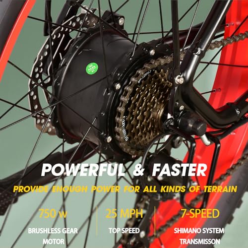 26'' Fat Tire Electric Bicycle with 750W Motor and 48V 13Ah Lithium Battery O522423