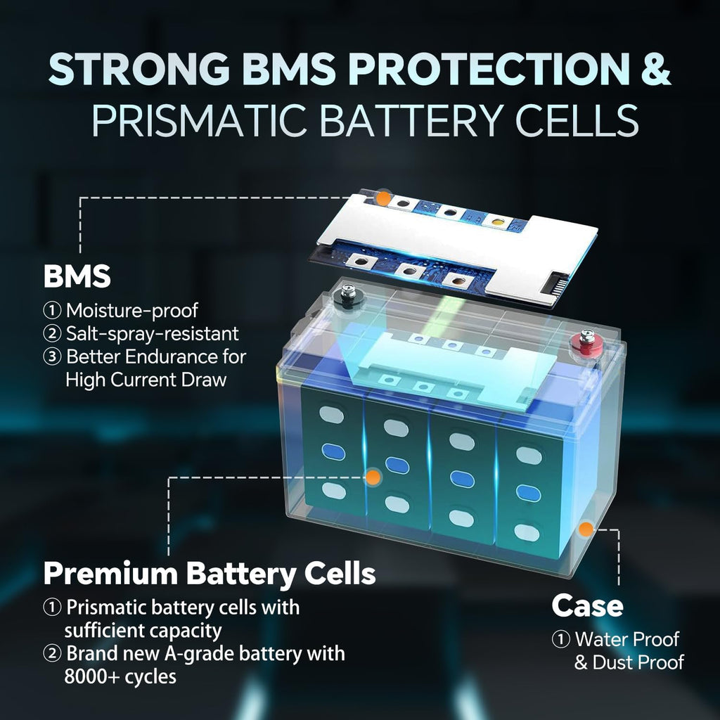 12V 100Ah Lithium LiFePO4 Battery Pack with 100A BMS F45804