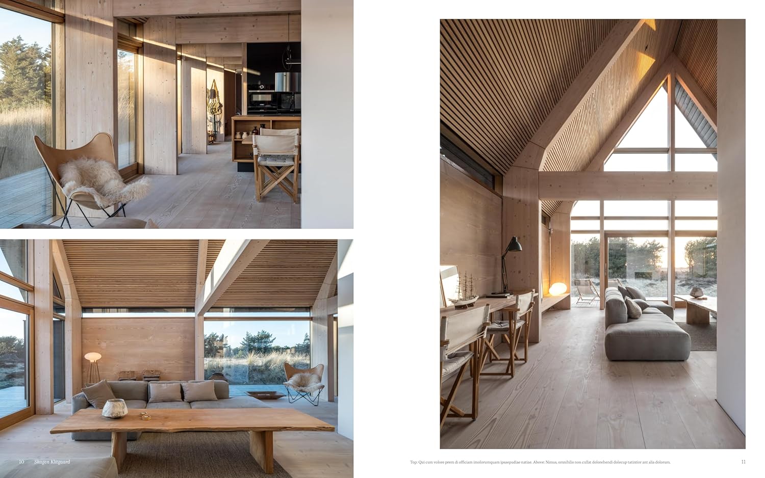 Scandinavian Living Interiors and Design J6194