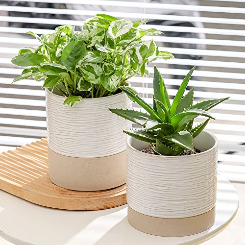 6 Inch Ceramic Self Watering Plant Pot with Drainage Hole Q388219