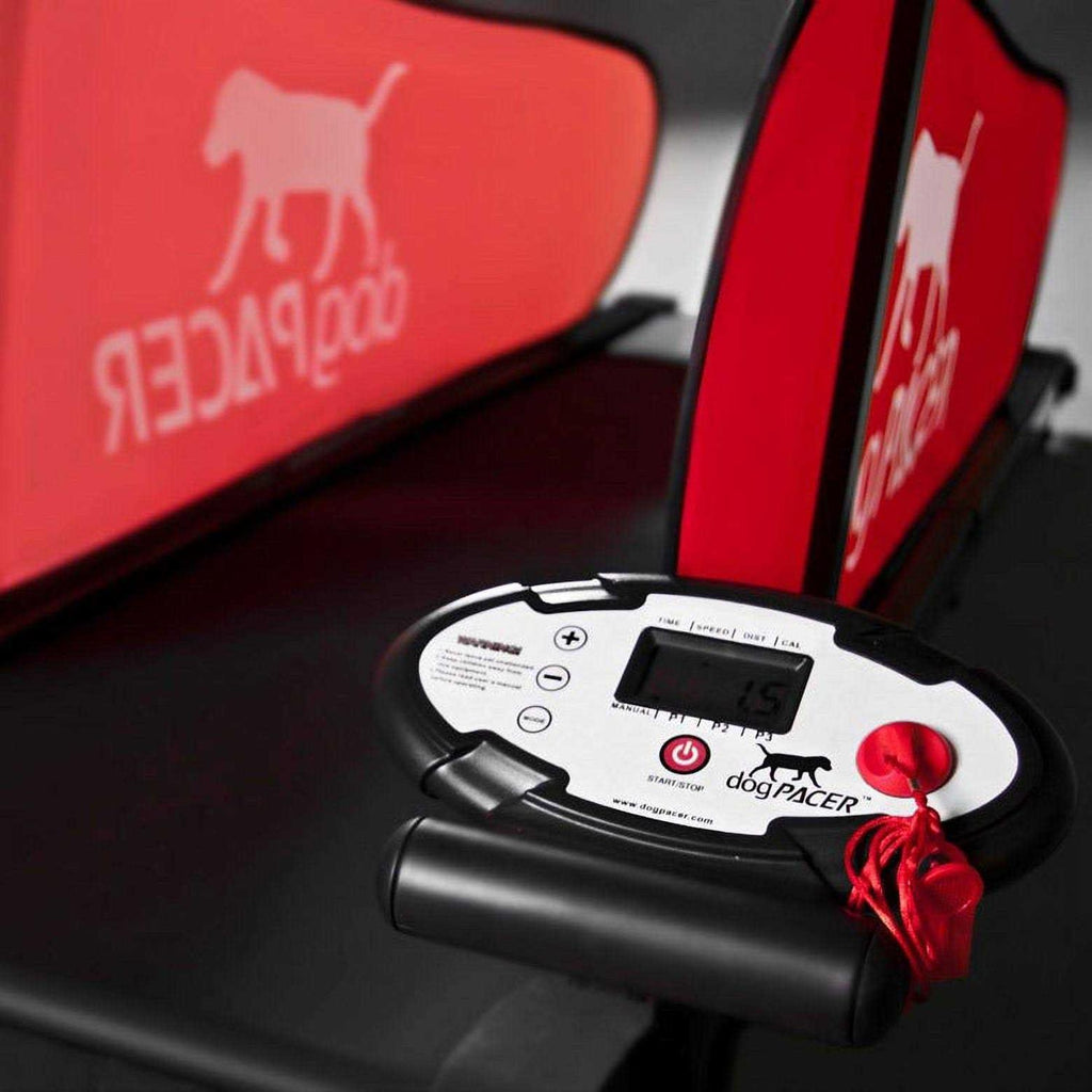 Dog Treadmill B2209