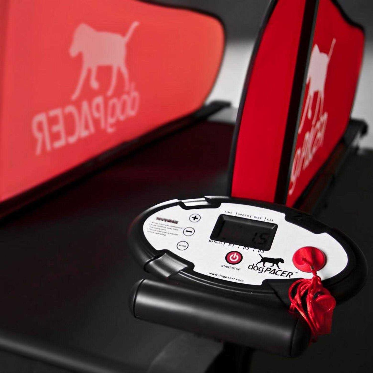 Dog Treadmill B2209