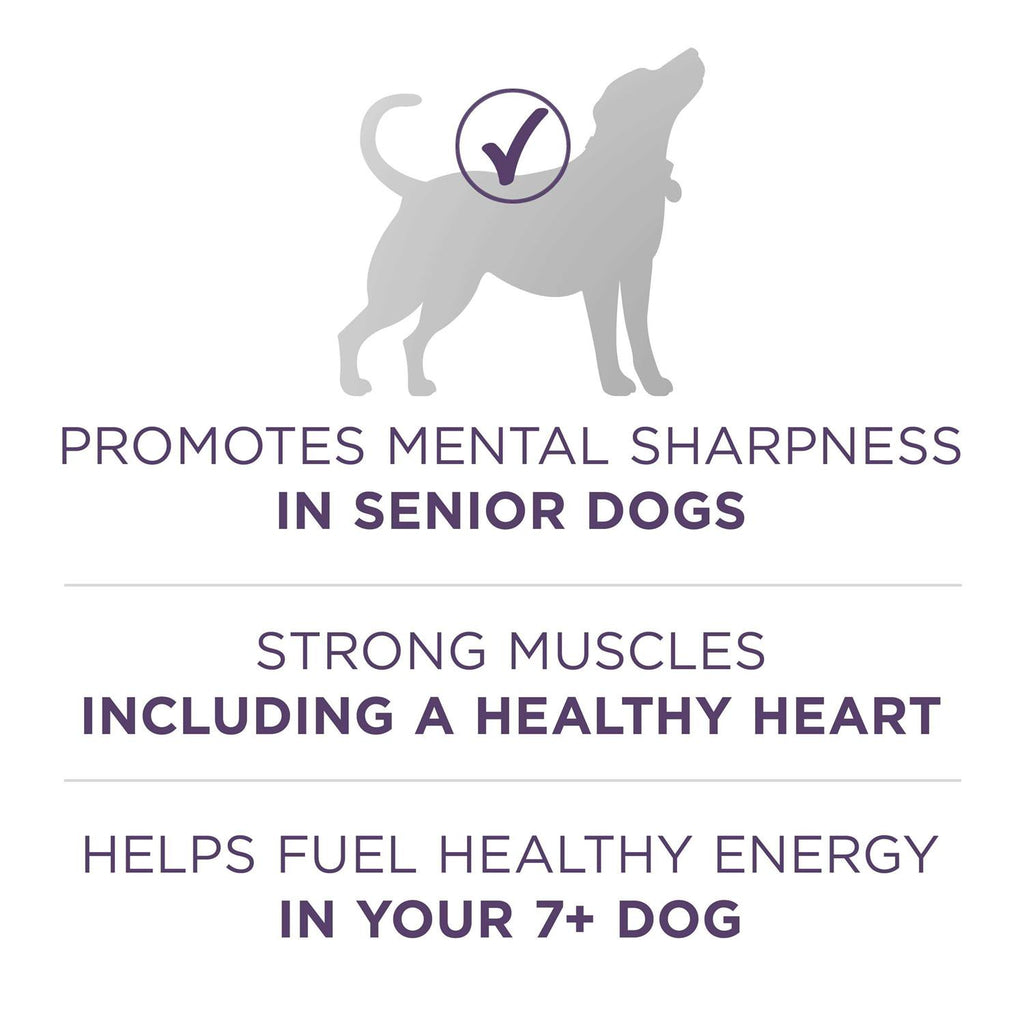 Adult Dry Dog Food Senior Z6158