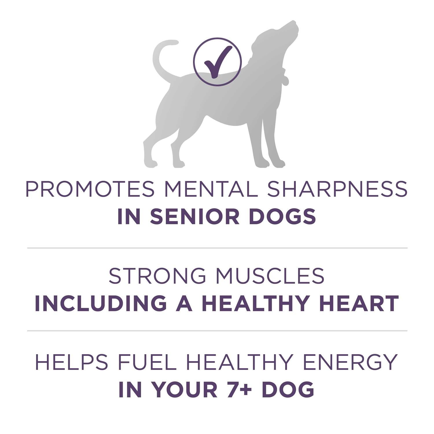 Adult Dry Dog Food Senior Z6158