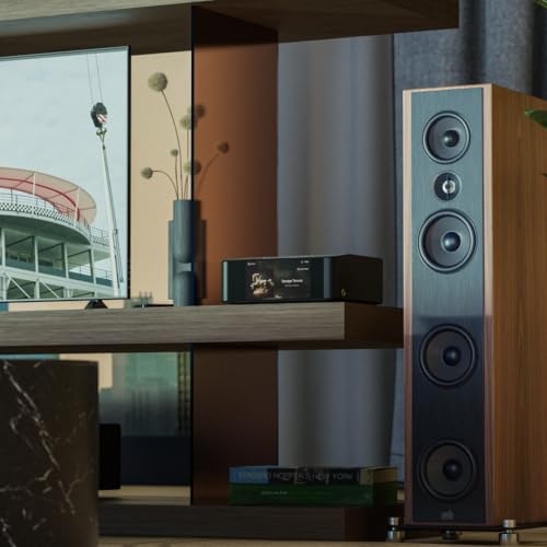 Multi-Room High Resolution Wireless Music Streamer N77011
