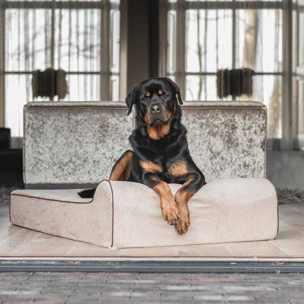 Orthopedic Waterproof Dog Beds P3751
