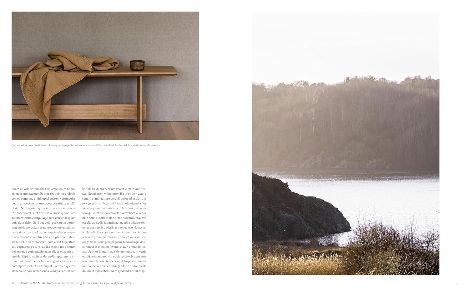Scandinavian Living Interiors and Design J6194