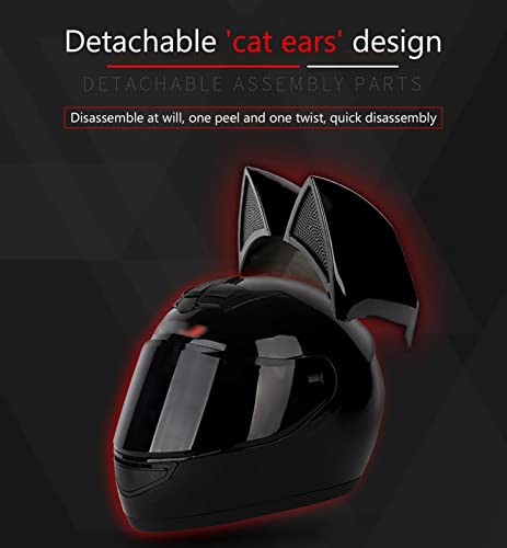 Full Face Motorcycle Helmet with Removable Liner Y20211