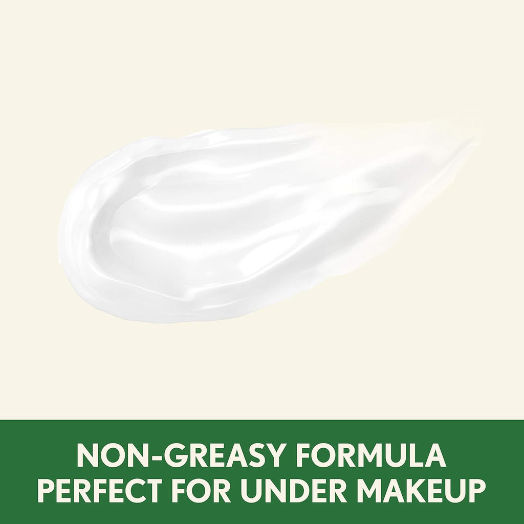 4 fl. oz Daily Face Moisturizer with Broad Spectrum SPF 15 Sunscreen N586