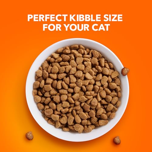 7 lb. Dry Cat Food with Chicken & Turkey I12988