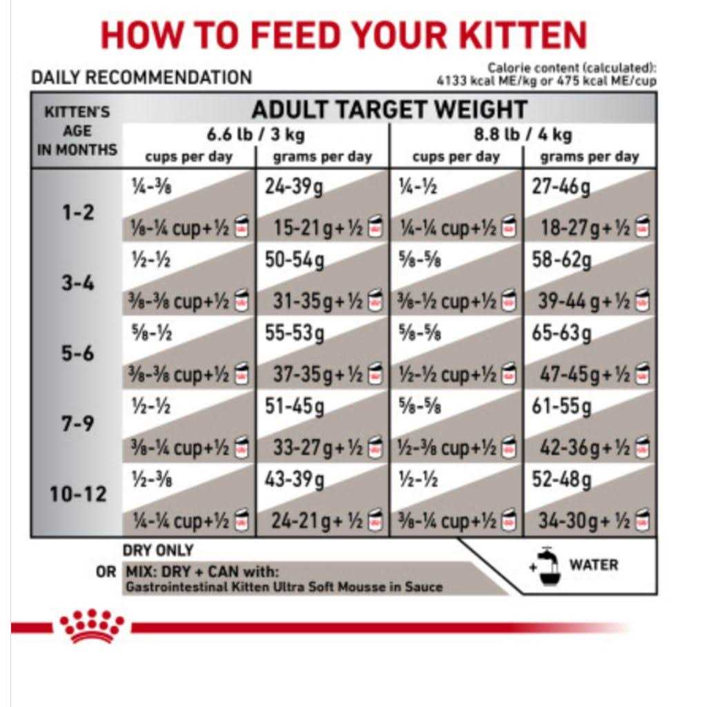 Veterinary Diet Feline Gastrointestinal Kitten Dry Cat Food H842