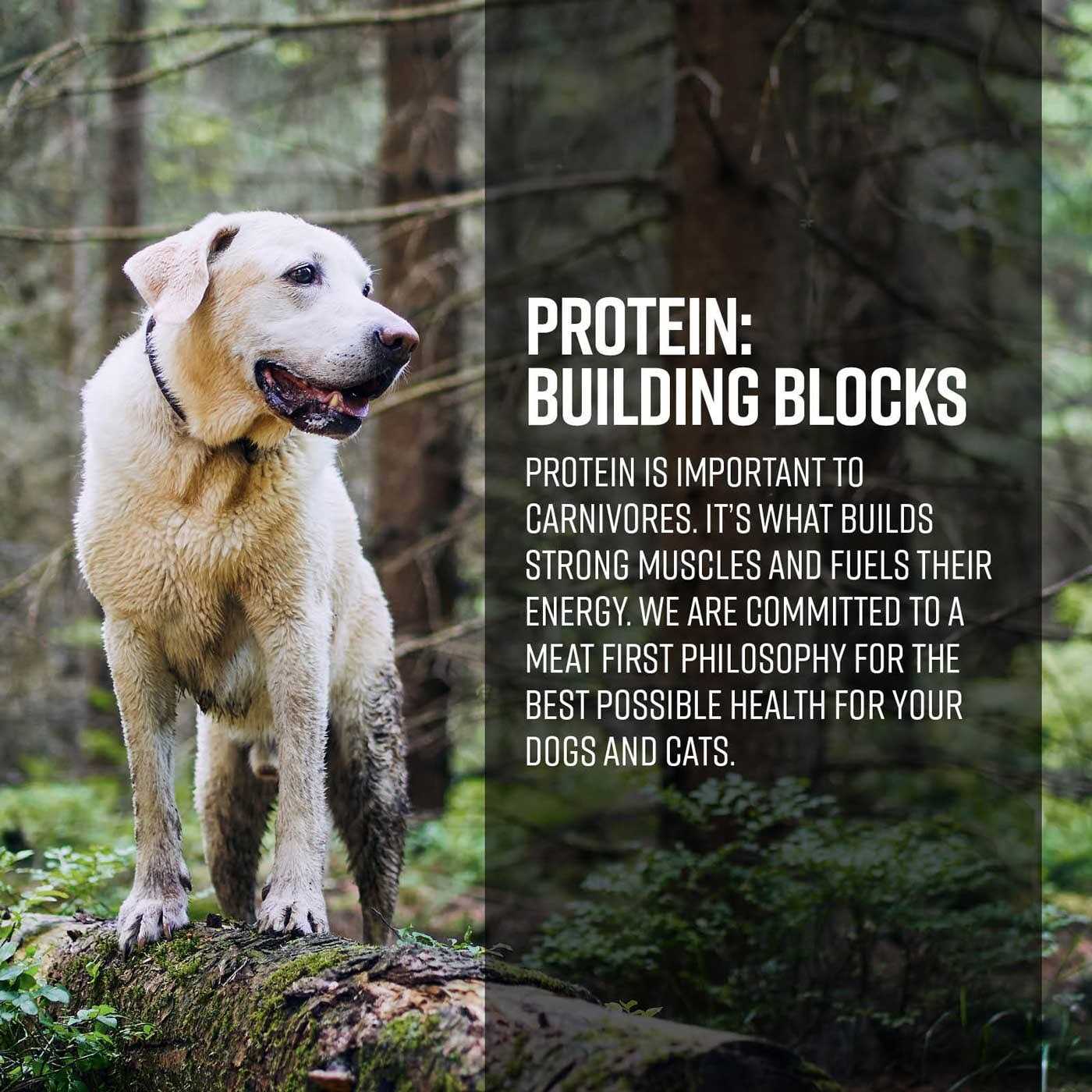 Gamefowl Dog Dry Food E636