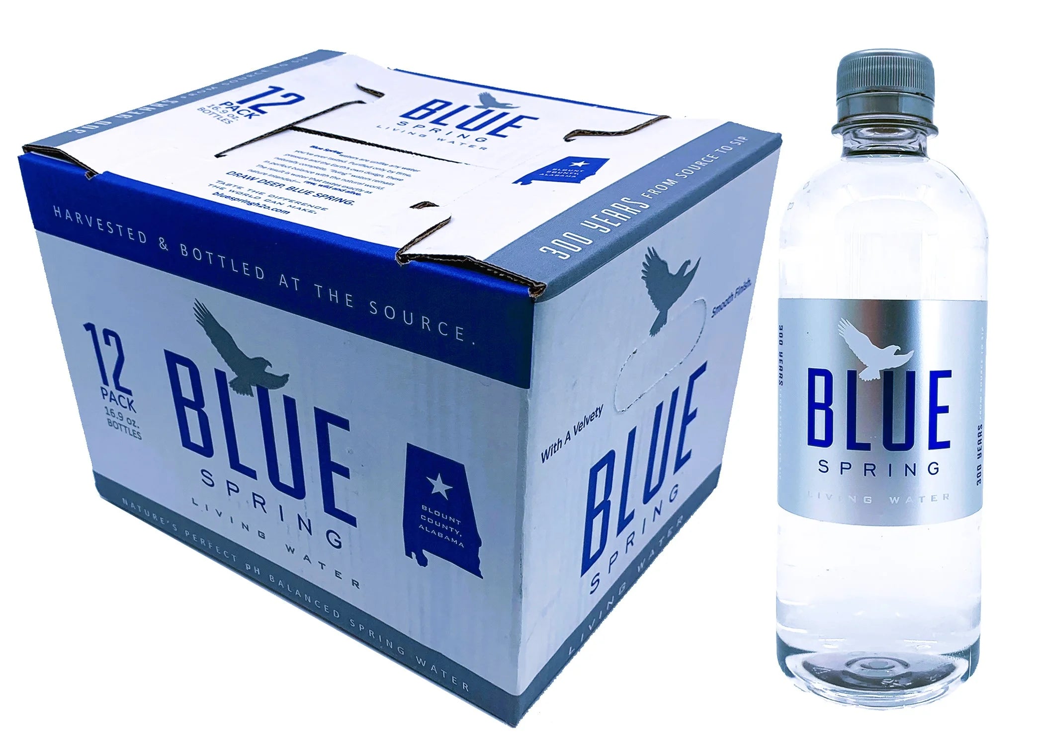Natural Spring Water 16.9fl oz, 12 Pack A38062