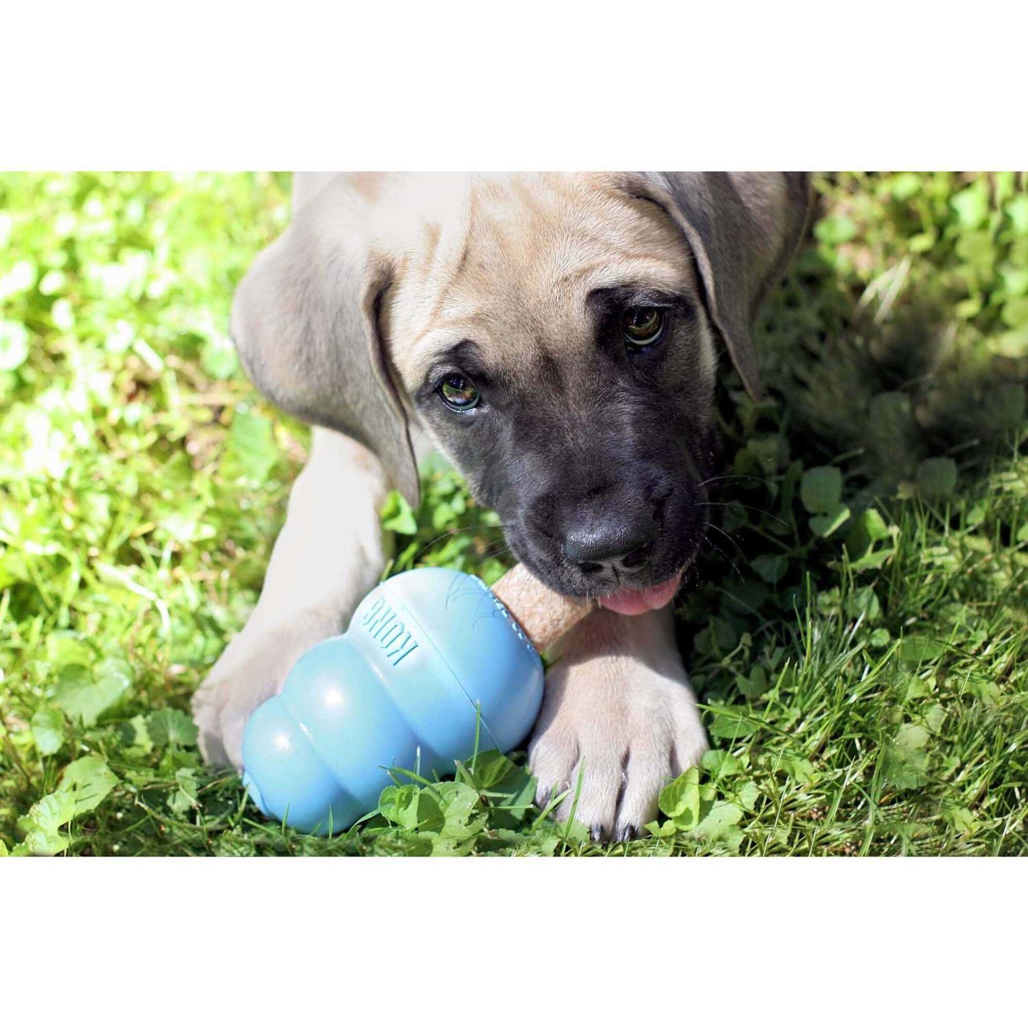 Ziggies Pet Supplies O7060