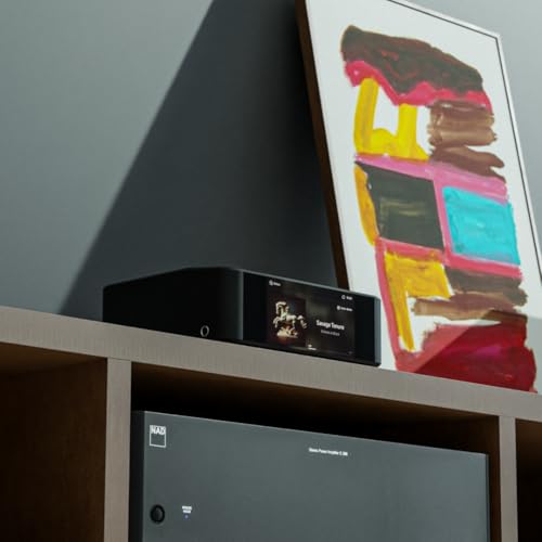 Multi-Room High Resolution Wireless Music Streamer N77011