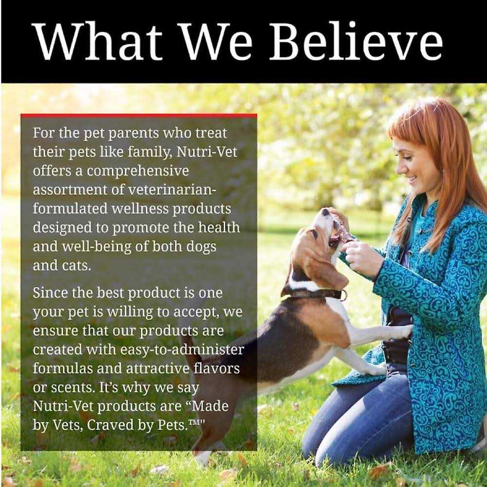 Pumpkin Dog Supplement X2368