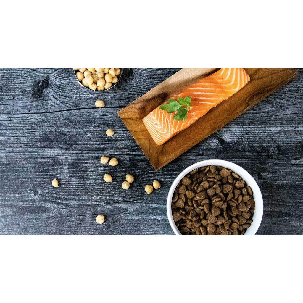 Grain-Free Salmon Dry Dog Food W916