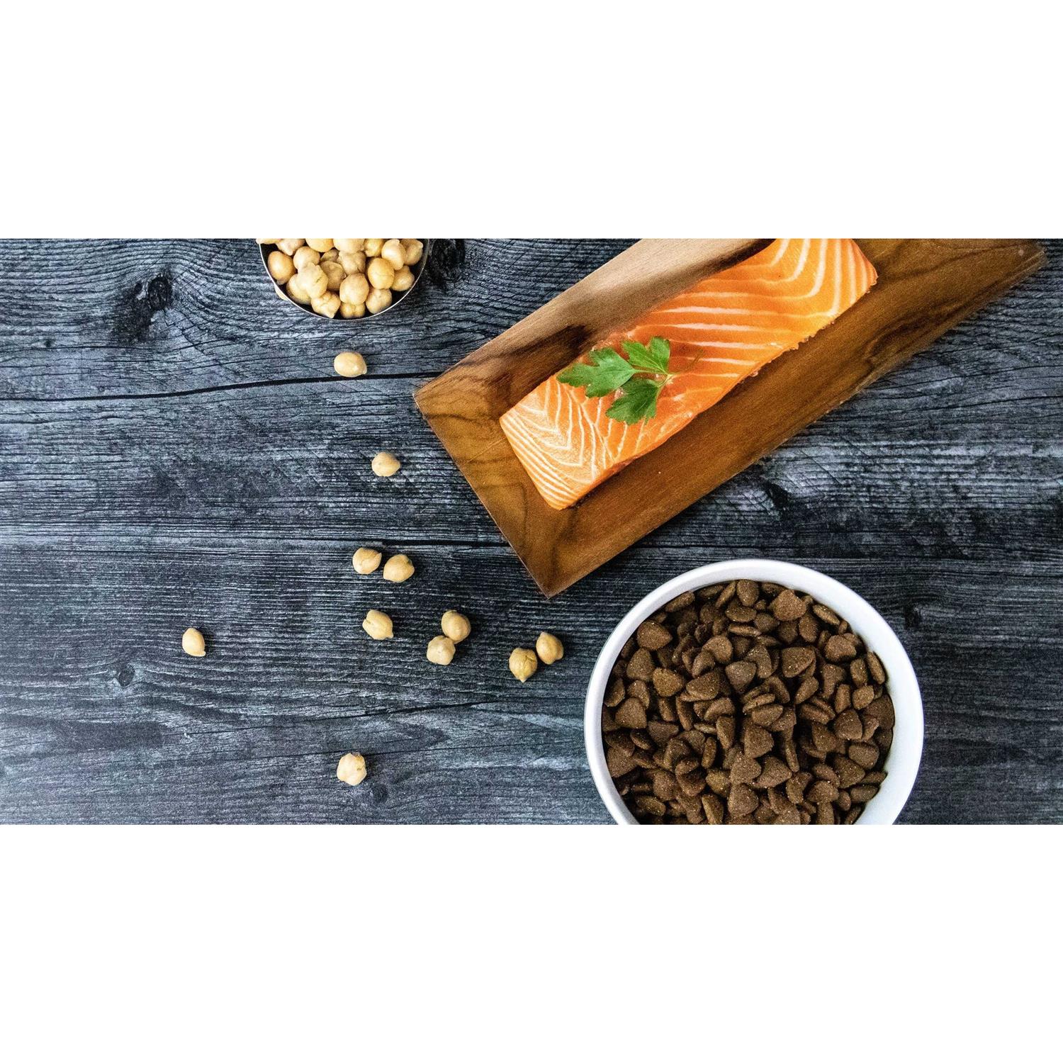 Grain-Free Salmon Dry Dog Food W916
