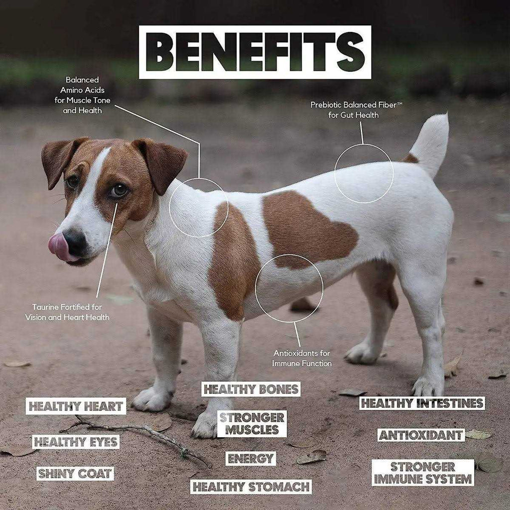 Salmon Pet Formulas R569325