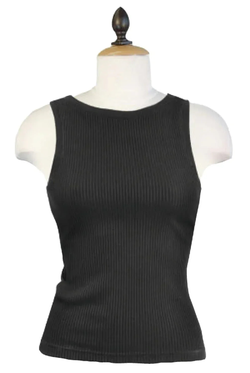 Fitted Silhouette Ribbed High Neck Tank Top